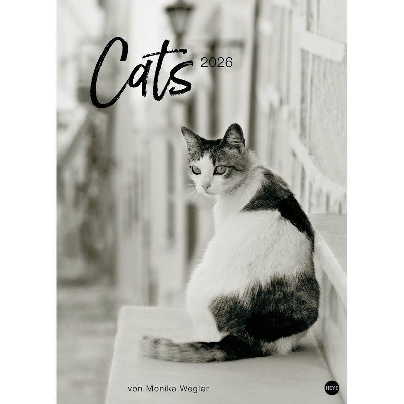 Heye Bildkalender 2026 Cats, 1 Monat / Seite, schwarz