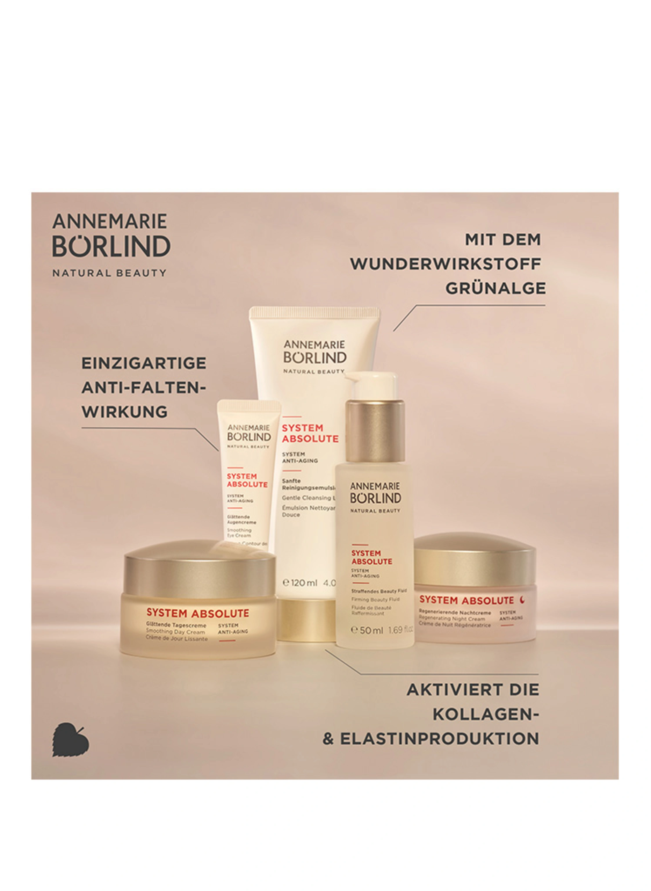 ANNEMARIE BÖRLIND SYSTEM ABSOLUTE