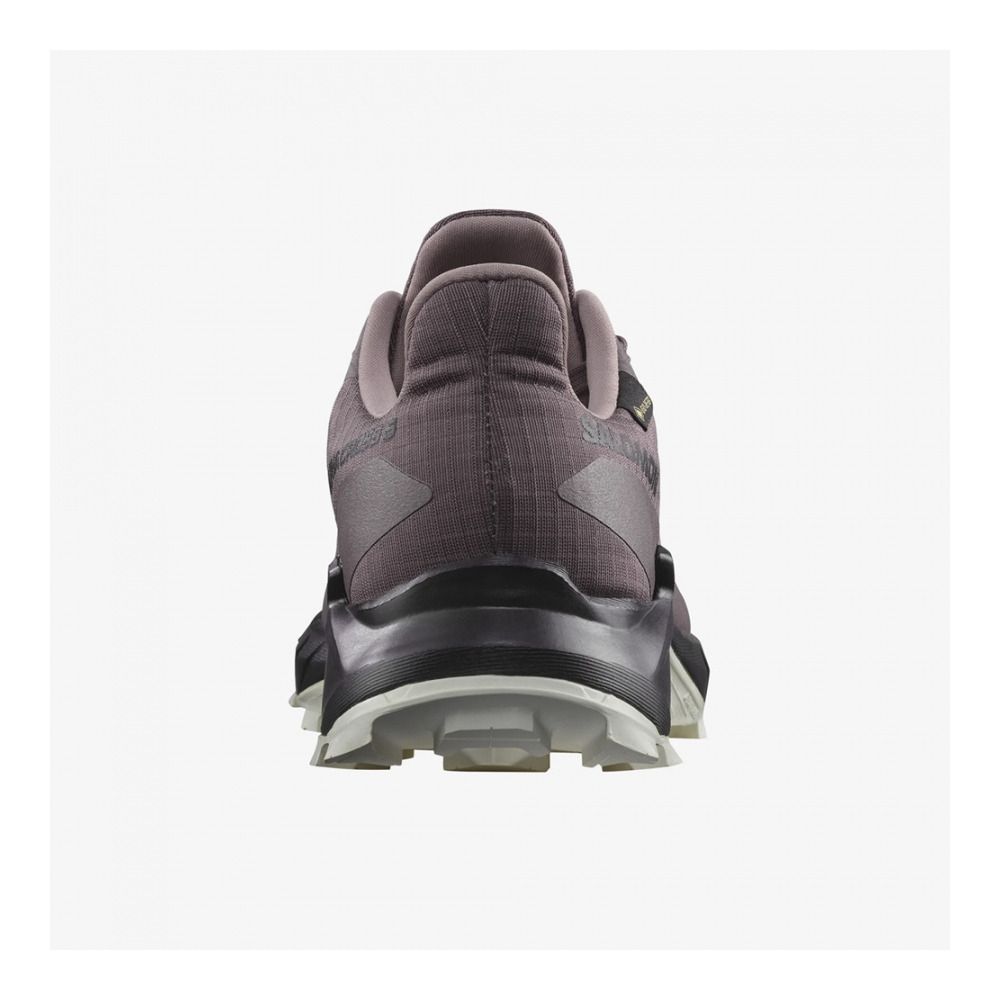 Salomon ALPHACROSS 5 GTX - Chaussures trail Femme moonscape/black/white
