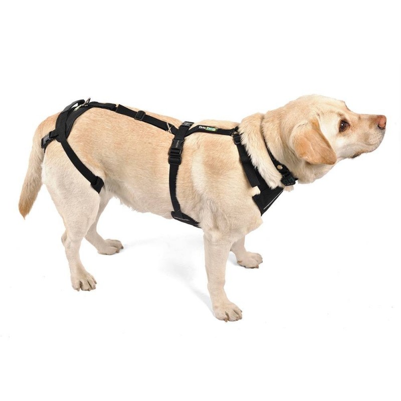 Arnês de corpo inteiro para cães. Suporta as patas dianteiras e traseiras.