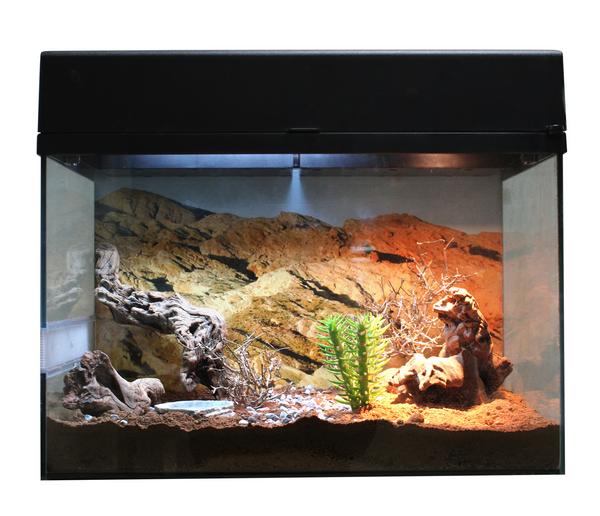 Lucky Reptile Terrarium Starter Kit