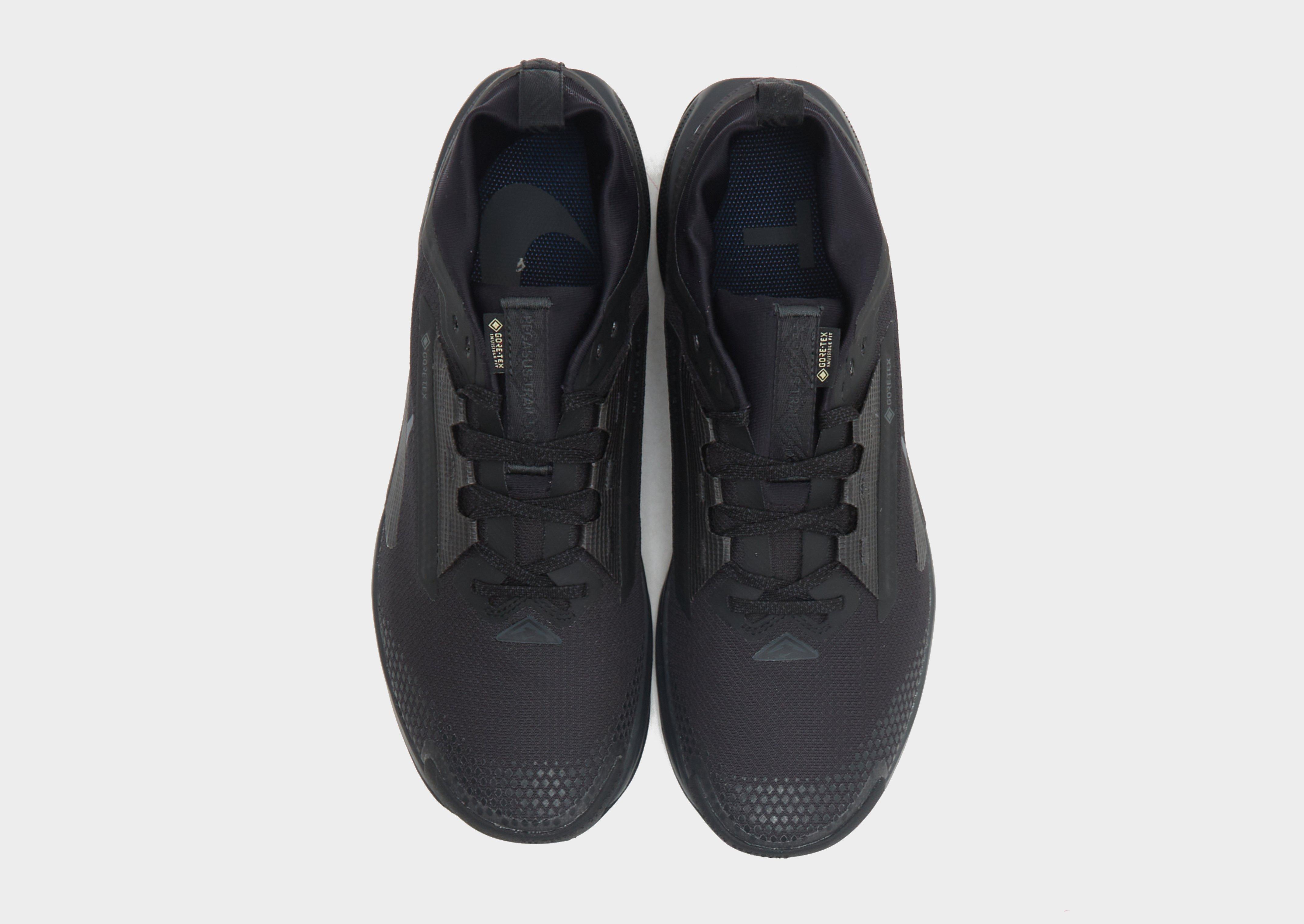 Nike Pegasus Trail 5 GORE-TEX Homme