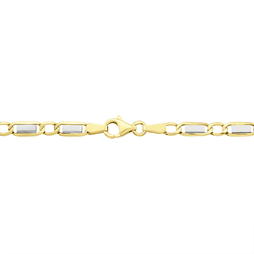 Collier Danae Maille Plaquette Alternée 1/1 Or Bicolore