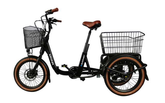 Blaupunkt E-Trike / E-Lastenrad Minna 20 Zoll 250W