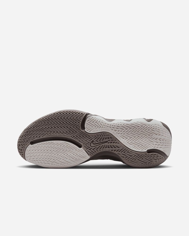 Chaussures de basket Nike Giannis Immortality 2 Gris pour homme