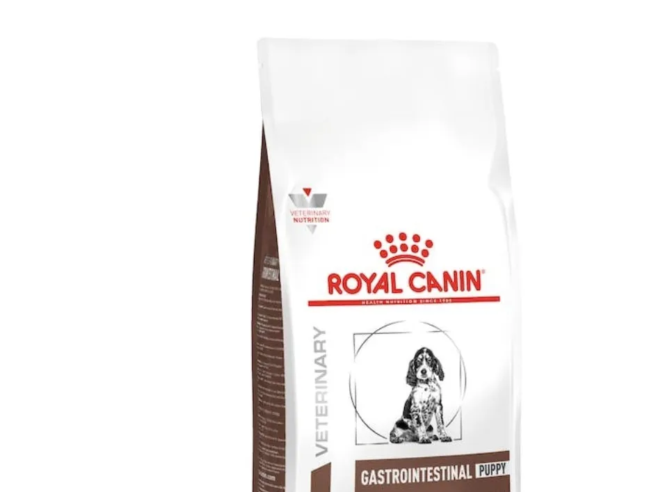 Royal Canin Gastro Intestinal Junior, Hundehvalp, 2,5 kg