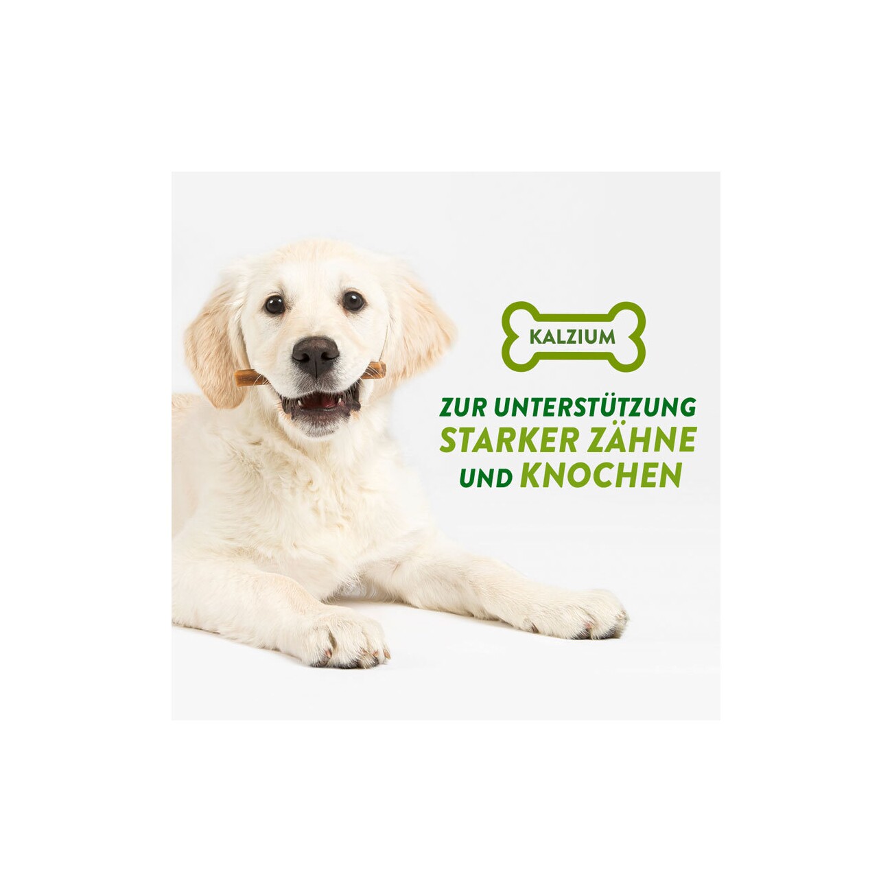 WHIMZEES Puppy Zahnpflege XS-S