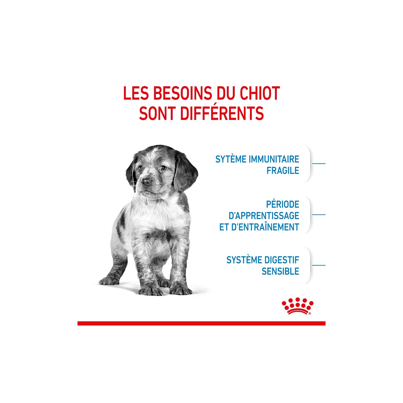 ROYAL CANIN Medium Puppy 4 kg
