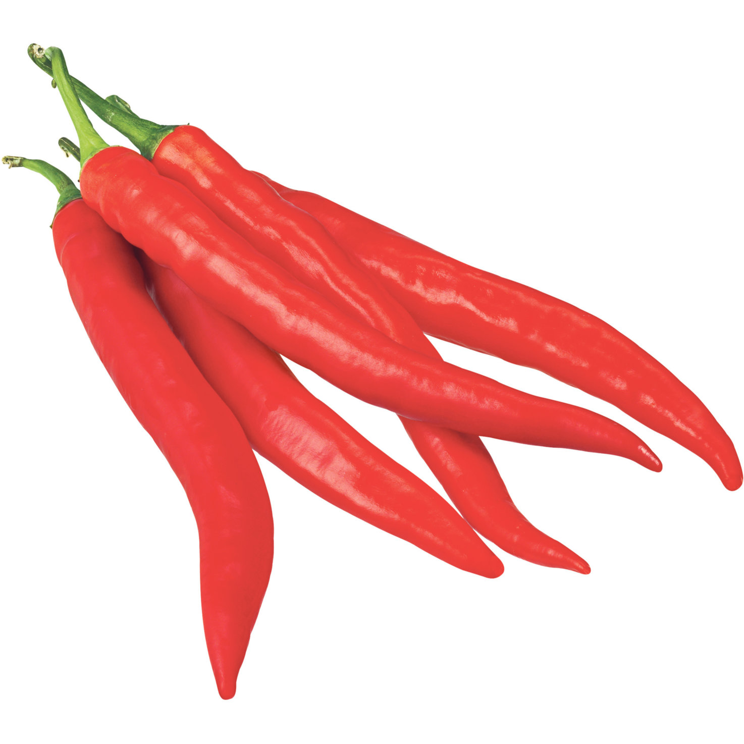 Peperoncini rot ca. 50g -