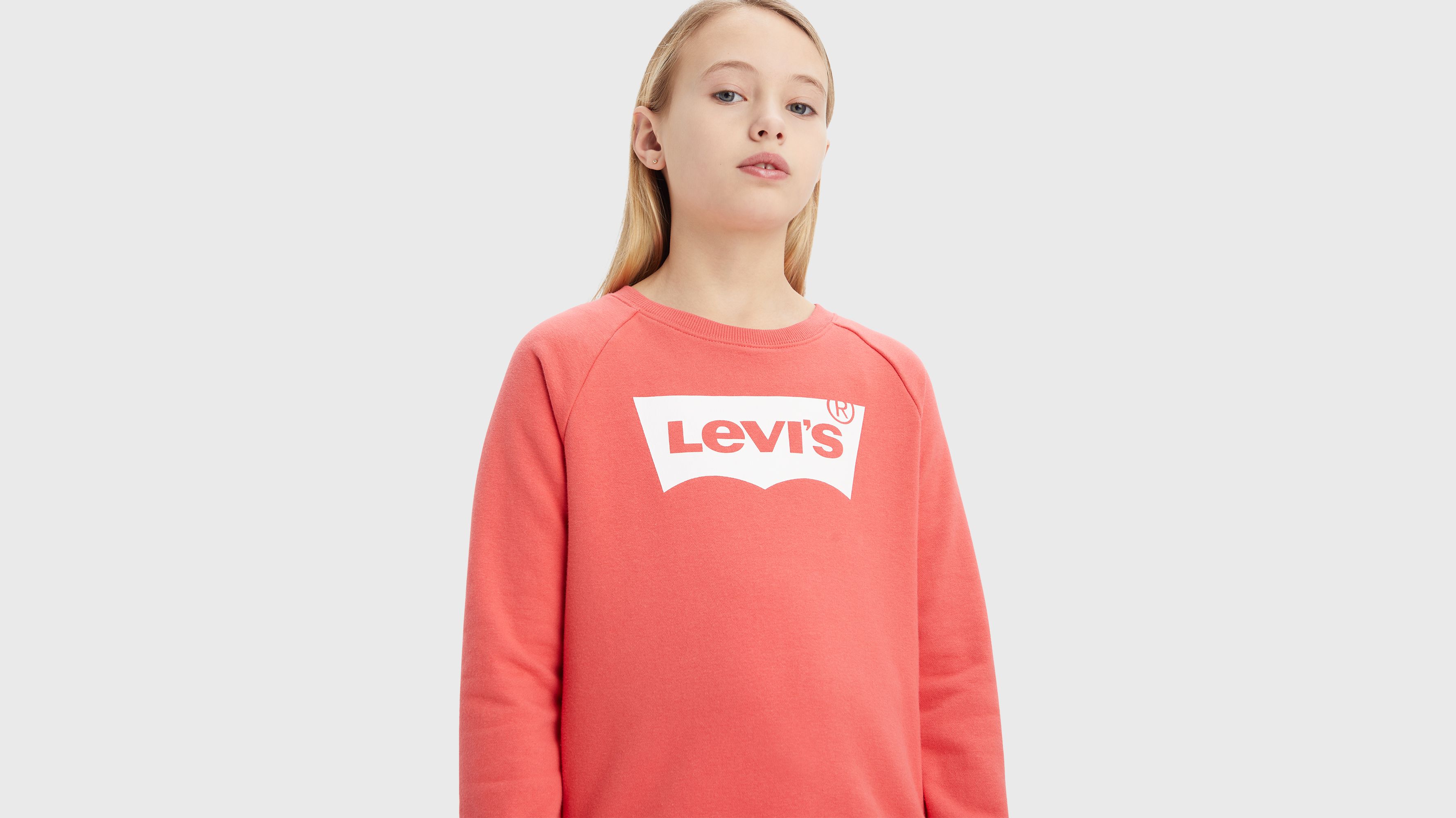 Sweat à col rond logo Batwing - Rose Of Sharon - Rose