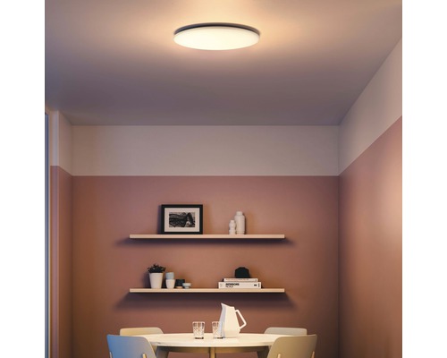 LED plafondlamp 1x36W 3200 lm 2700-6500K Ø 48 cm Wawell wit