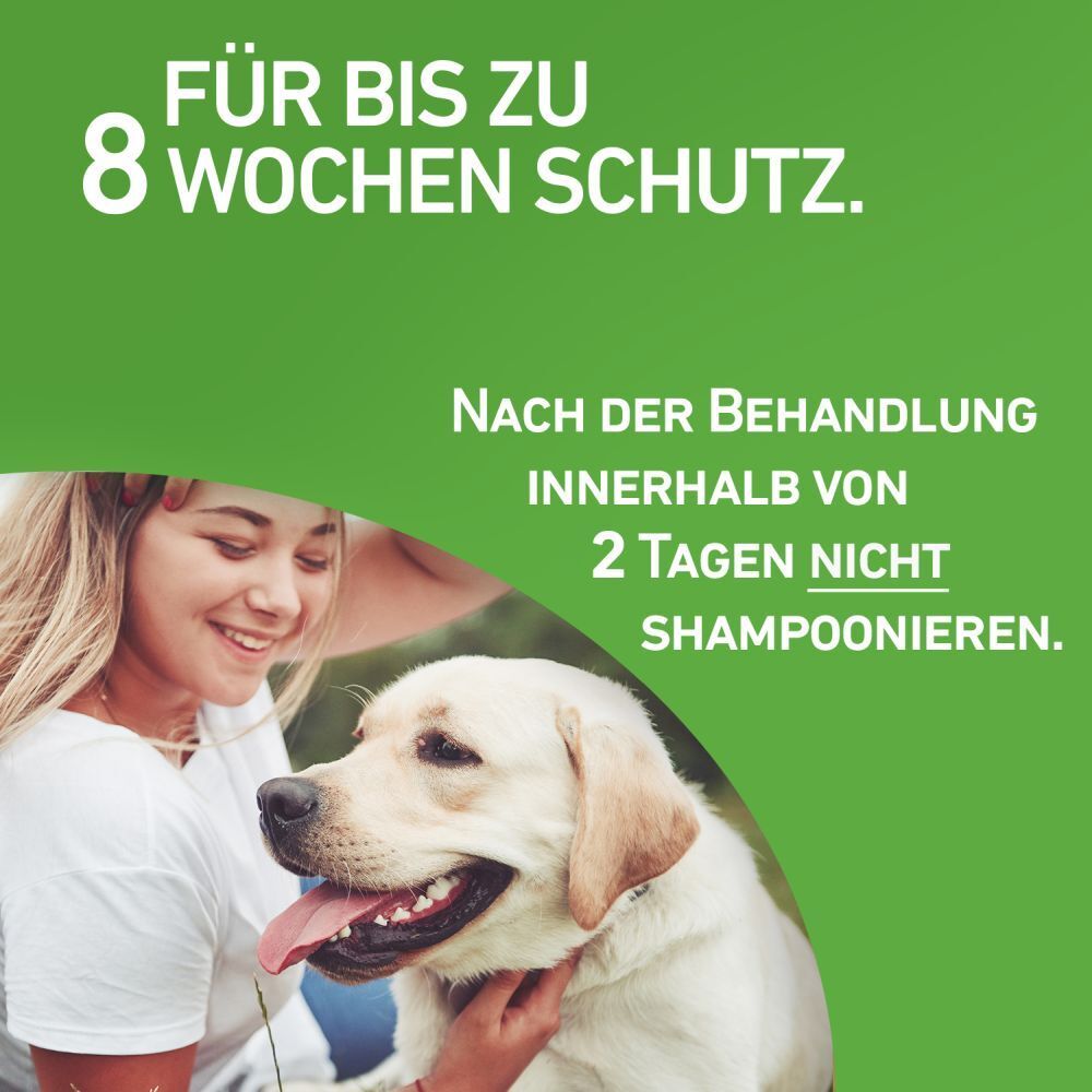 FRONTLINE COMBO® Spot on gegen Flöhe und Zecken Hund S 2-10kg