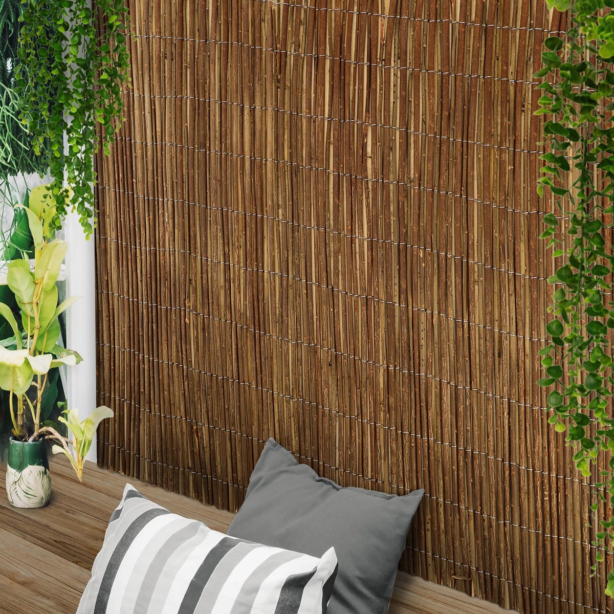 Sol Royal SolVision W79 privacyscherm 500x90 cm wilg