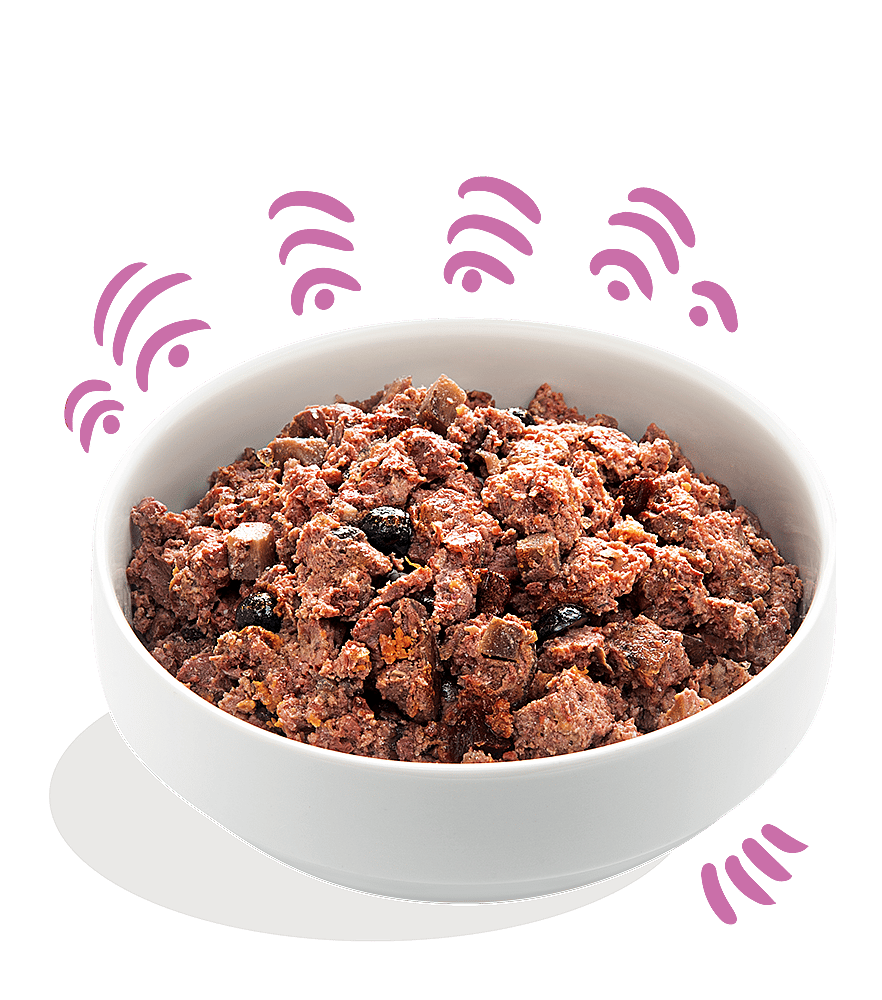 Edgard & Cooper Adult Blikjes Wild en Eend 6 x 400 gram