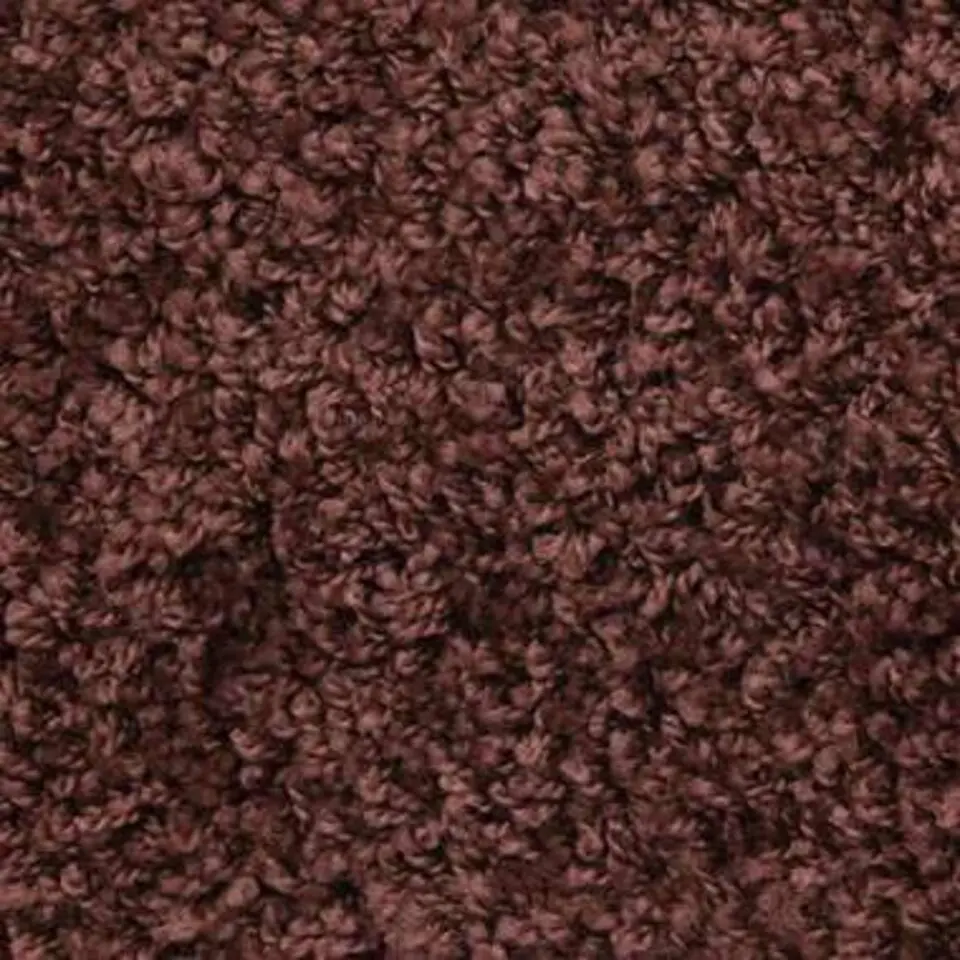 vidaXL - Tapijt Traptrede - Bruin - Polypropyleen