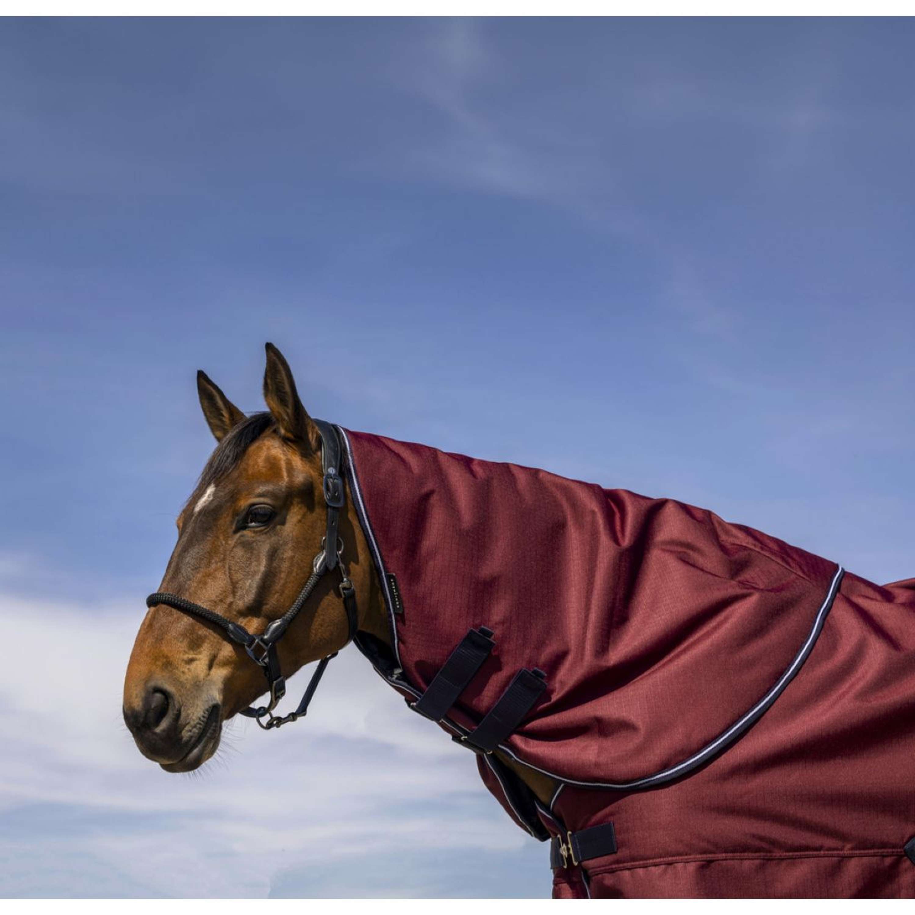 EQUITHÈME Halsstuk Tyrex 1200D 200g Burgundy