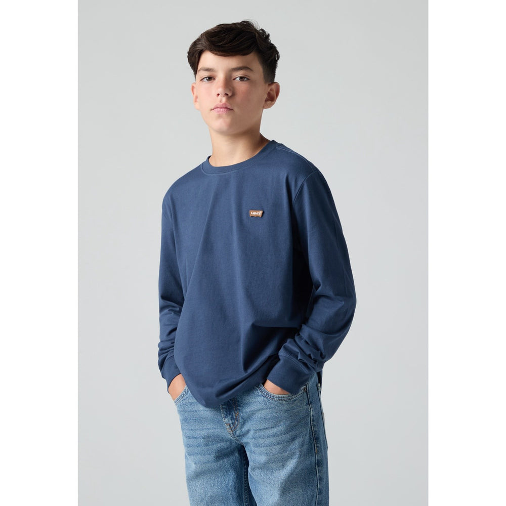 Køb Levi's Big Dipper L/S Batwing Chesthit Tee