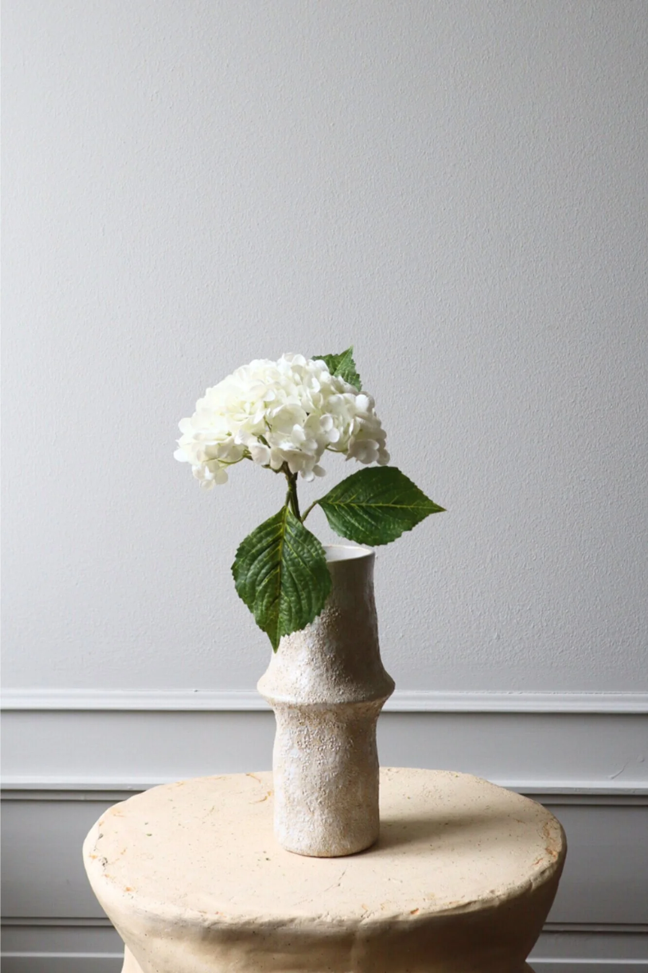 Botané  Hortensia blomst - hvid