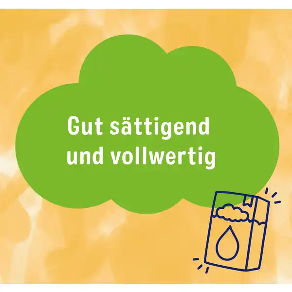 Bio Kinder-Früchte-Müsli