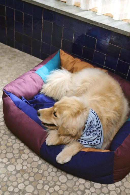 Hay Dogs hondensjaal 55x55 Light Blue