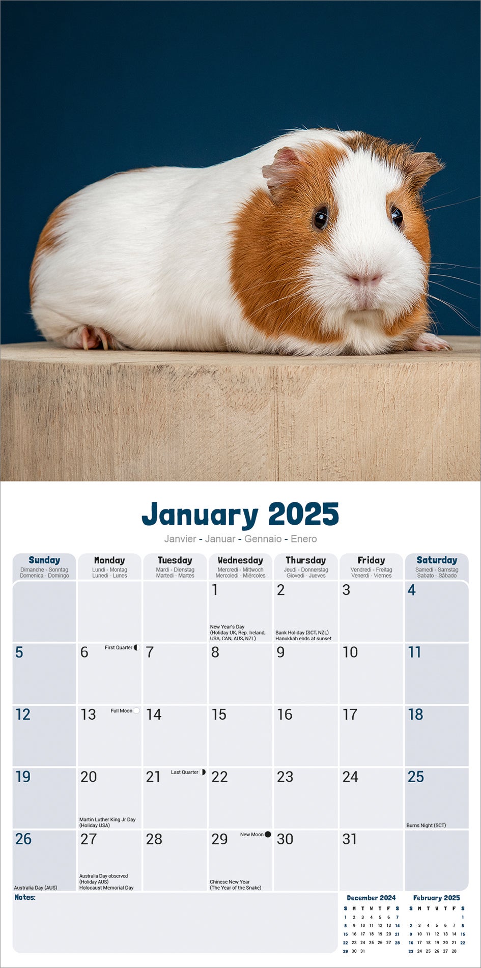 Plenty Gifts kalender cavia 30 x 30 x 0,5 cm
