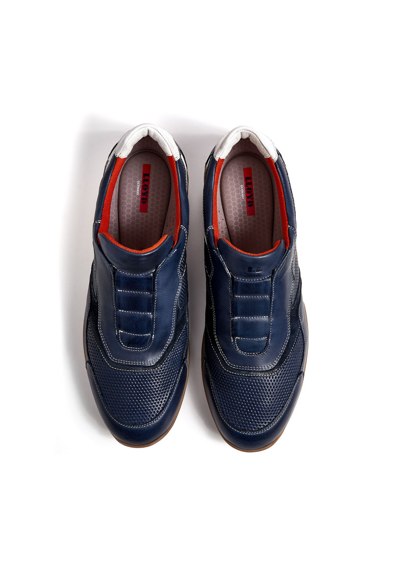 BANFIELD Blau