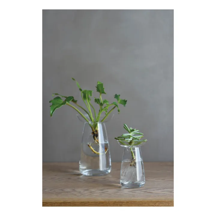 Kinto Vase en verre Aquaculture | Transparent