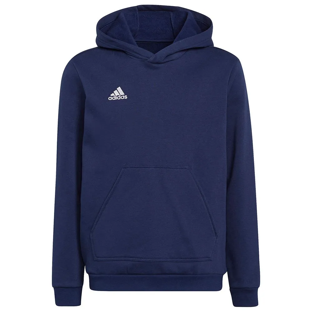 Moletom adidas Entrada 22
