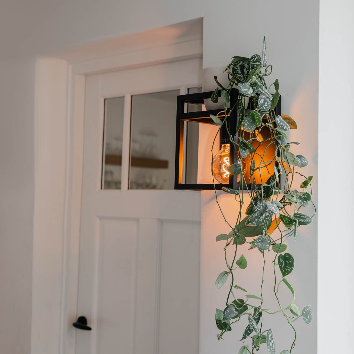 Industriële wandlamp zwart met rek - Cage Rack