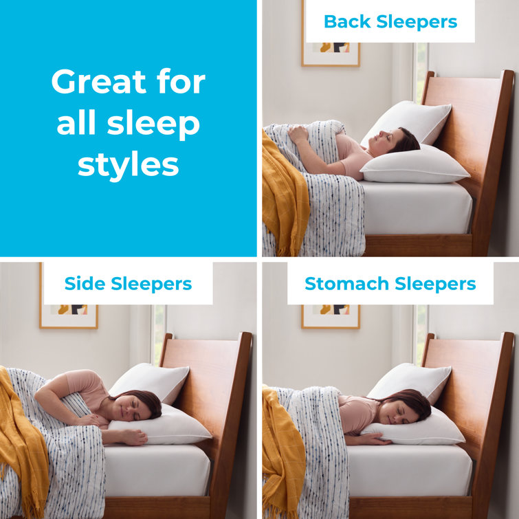 Wayfair Sleep Polyester Plush Support Pillow