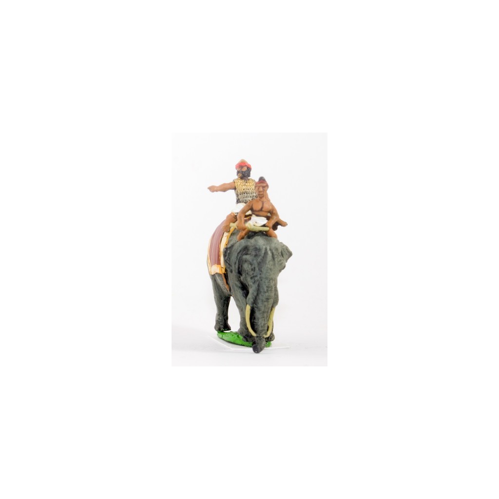 Classical Indian: General & driver mounted on elephant