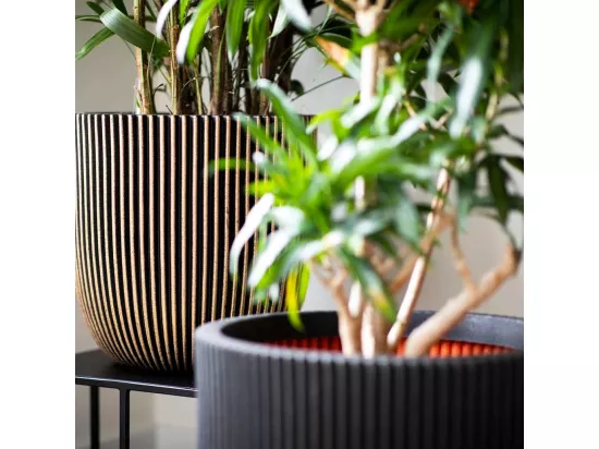 Jardinière Groove 35x34 cm noir et doré