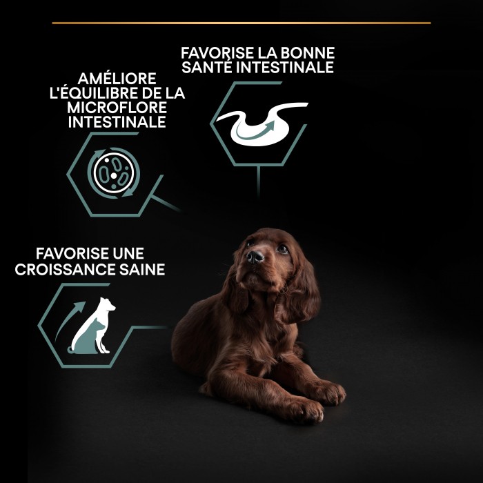 PRO PLAN Sensitive Digestion Large Athletic Puppy à la Agneau- Croquettes pour chien