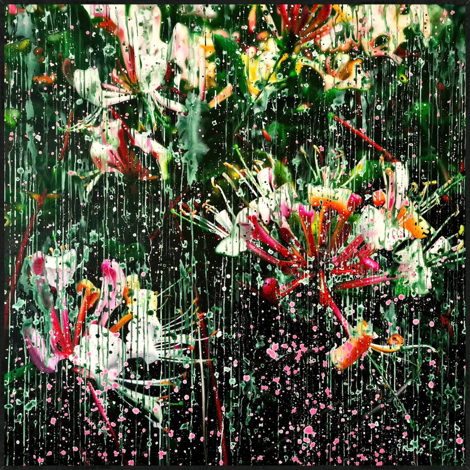 Lonicera Caprifolium Darkgreen 01 by An Doan Nguyen - Limited Edition. Edition of: 150. Signed.