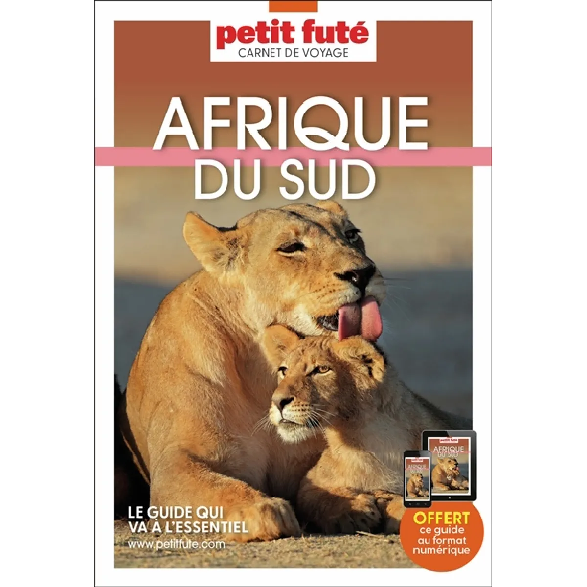 Afrique du Sud