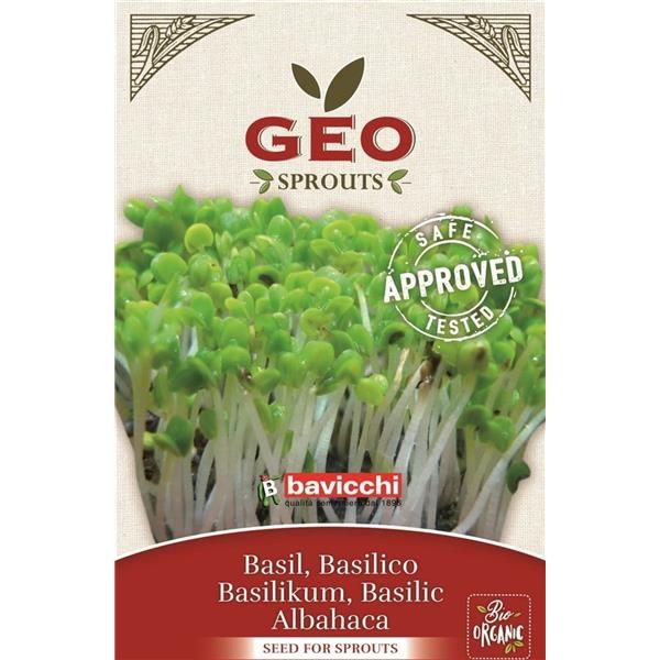 Manjericão - Sementes Para Germinar Bio