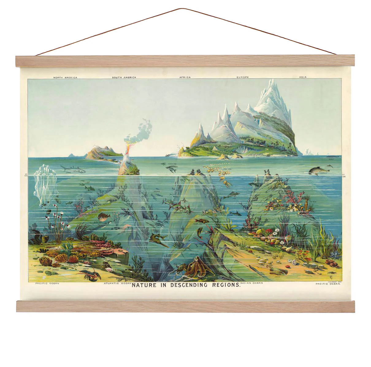 Natur in absteigenden Regionen Bildung Vintage