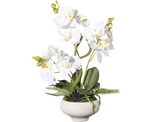 Kunstorchideeënplant, hoogte: 50 cm, wit