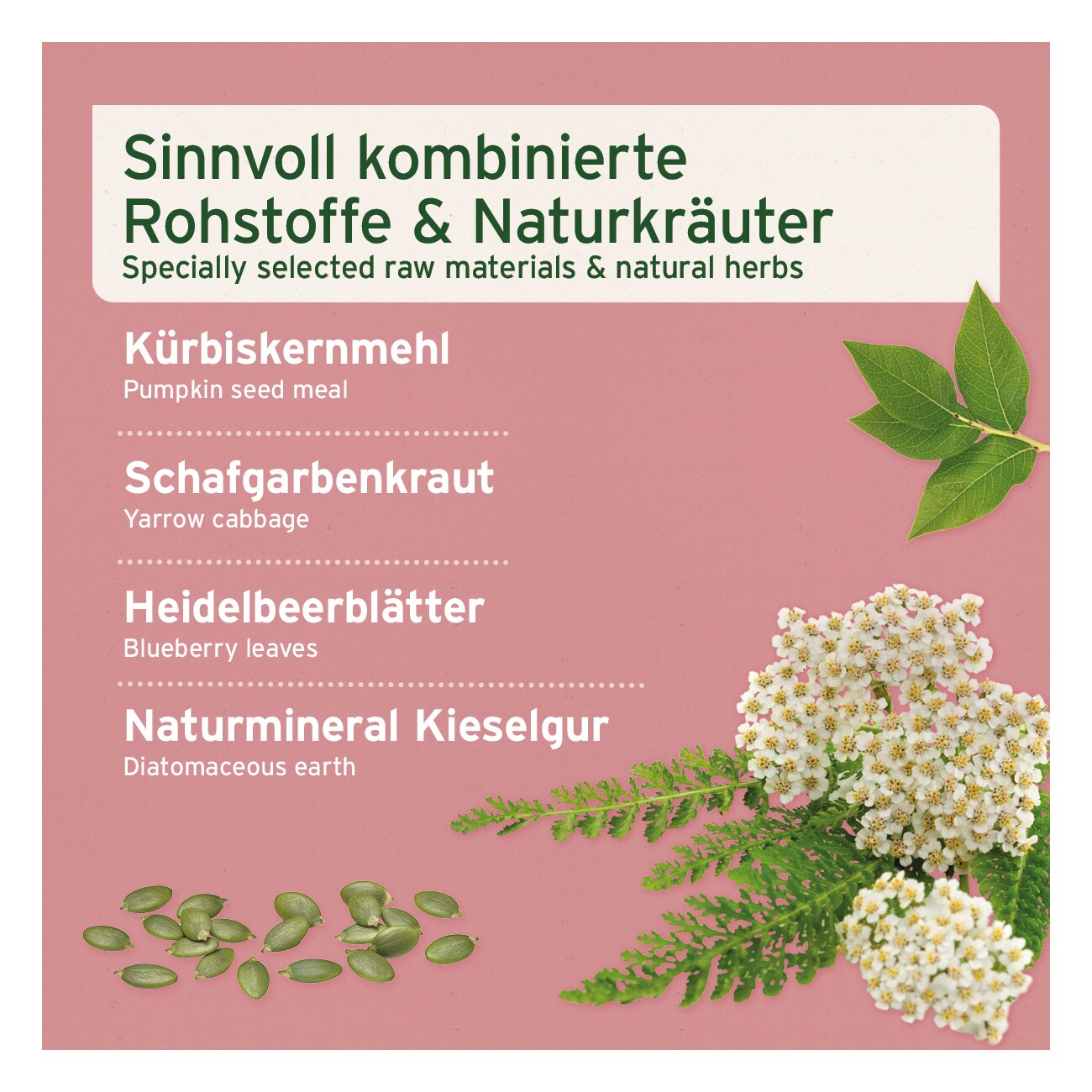 AniForte Blasen-Formel 100 g
