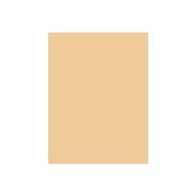 Daler-Rowney Graduate - Peinture acrylique - 120 ml - beige titane