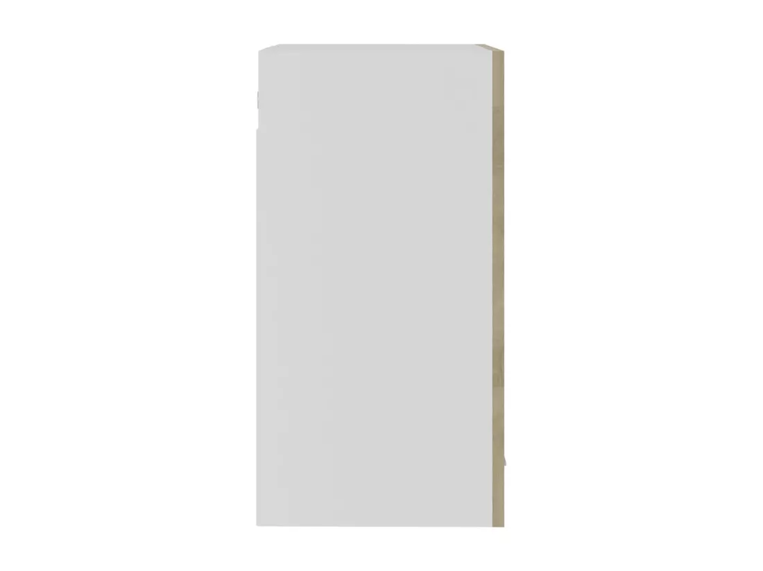Armoire en verre suspendue 
