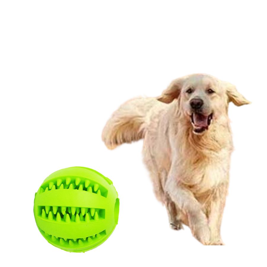 Bola de borracha para adestramento de cães
