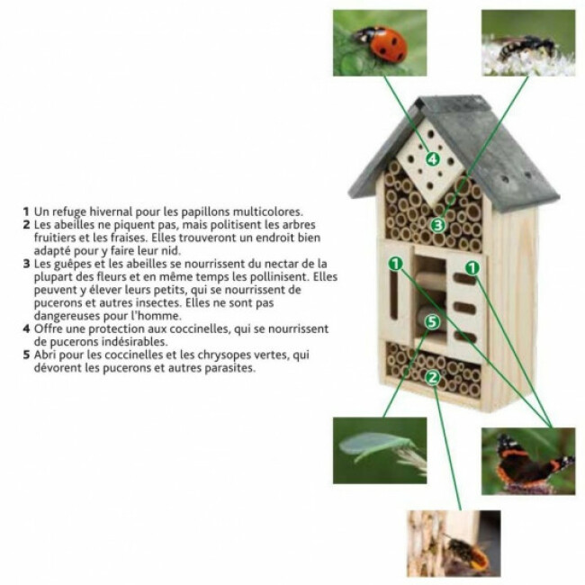 Hôtel à insectes en pin/schiste