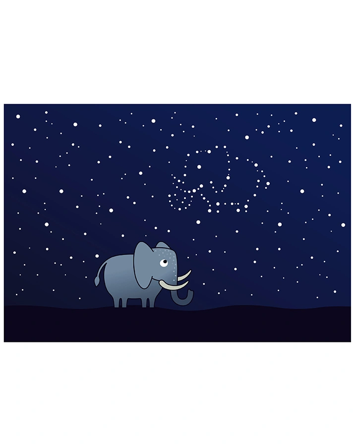 Frontscheibe ELEFANT für LED Light Box small