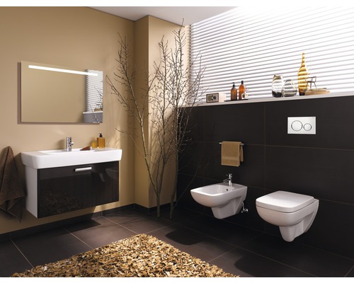 GEBERIT Renova Plan wandclosetset, randloos, glanzend wit met toiletzitting CG05031000