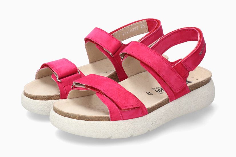 GILL FUCHSIA