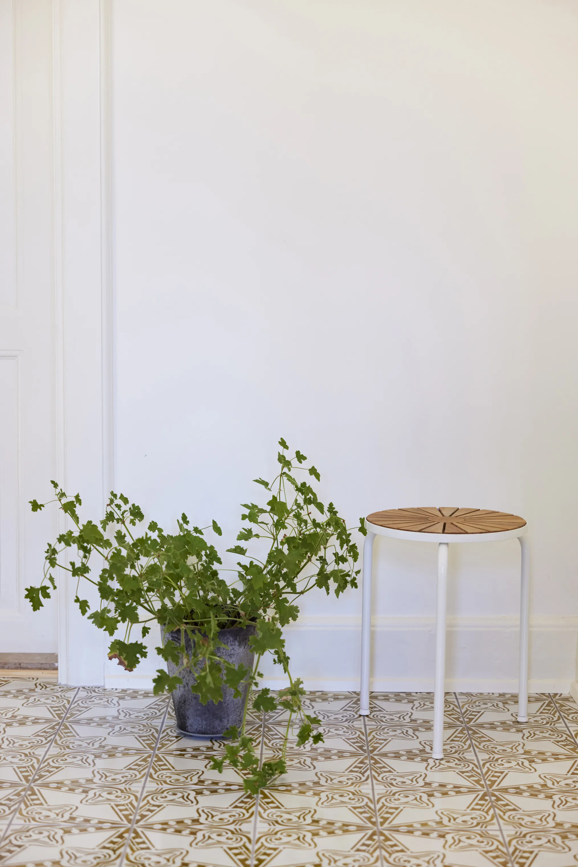 Mandalay Marguerit Taburet