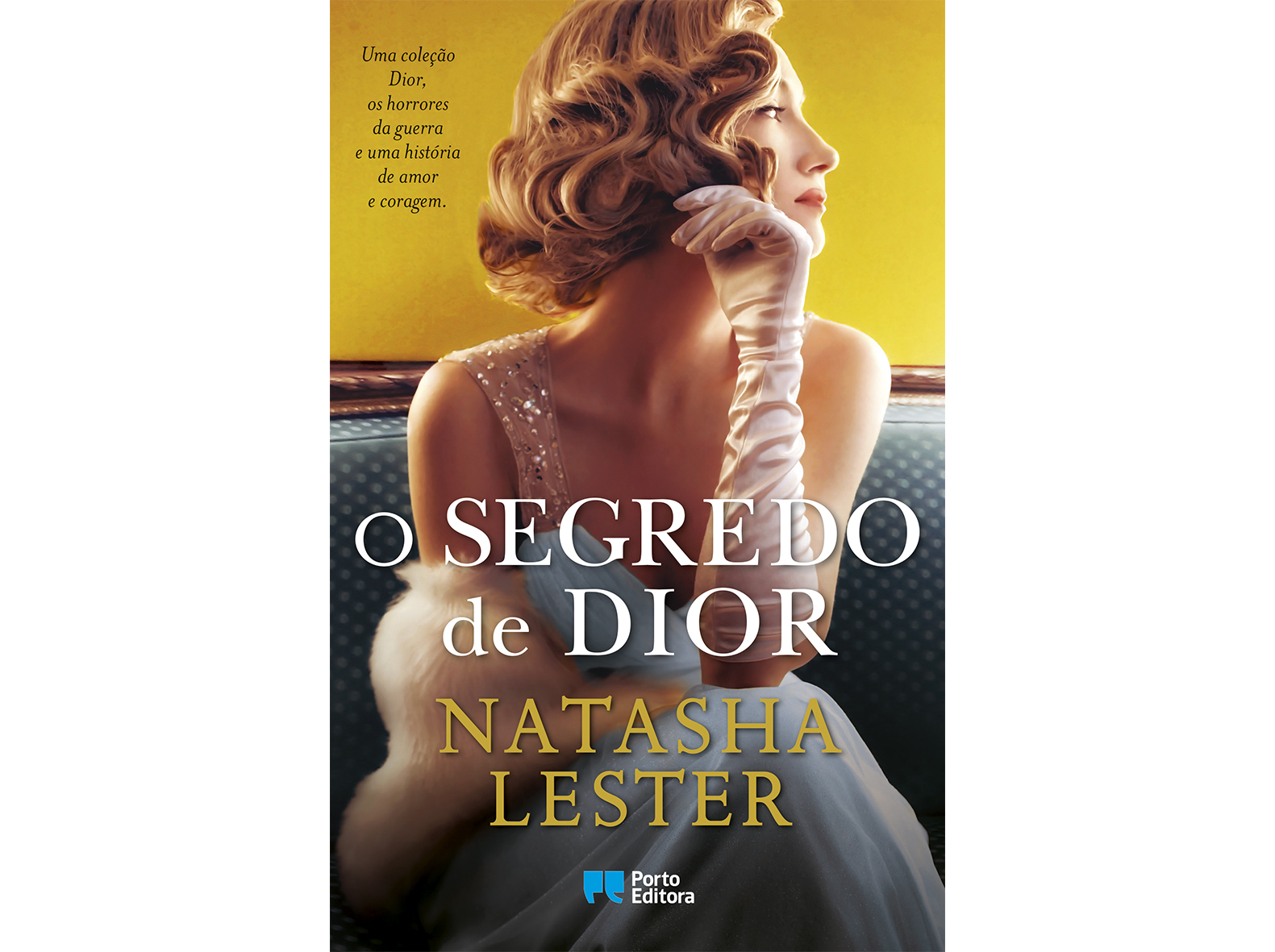 LIVRO O SEGREDO DE DIOR DE NATASHA LESTER