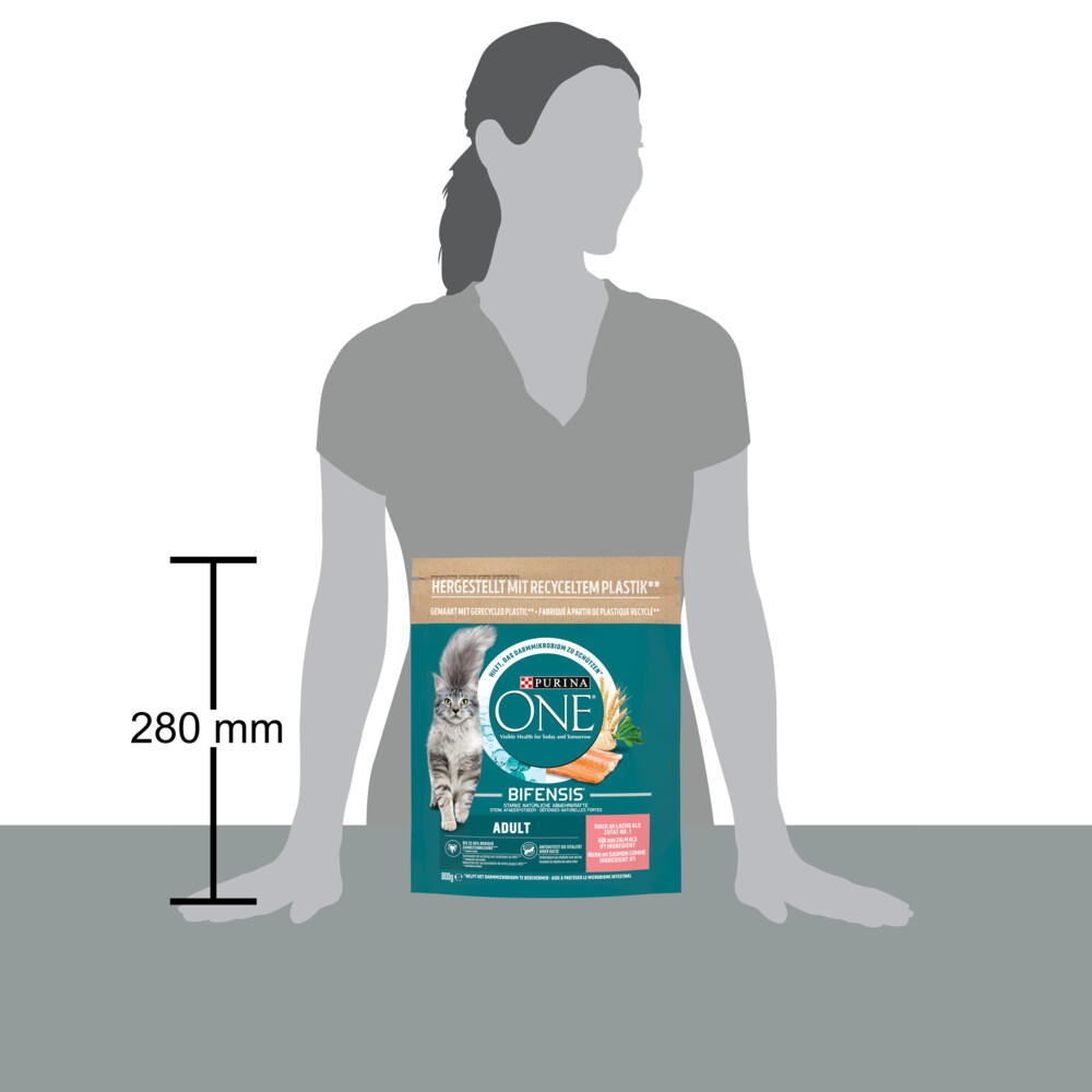 Purina ONE Adult Zalm - Volkoren Granen800 gr