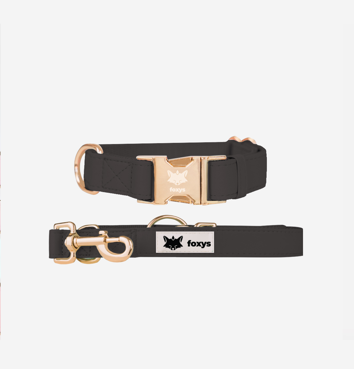 Kit de coleira e guia preta para cães CITYFOX™
